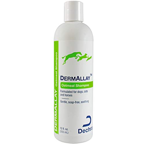 Dechra DermAllay Oatmeal Shampoo