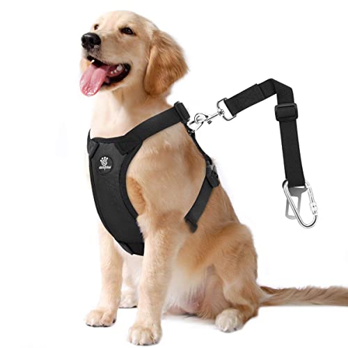 VavoPaw Dog Vehicle Safety Vest Harness, Adjustable Soft Padded Mesh Car Seat Belt Leash Harness with Travel Strap and Carabiner for Most Cars, Size Extra Large, Black