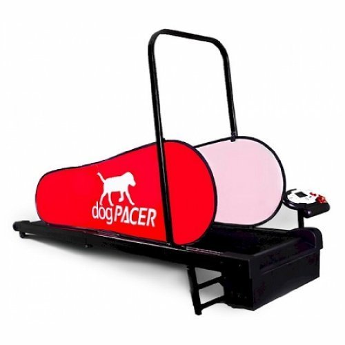 dogPACER Full-Size Dog Treadmill