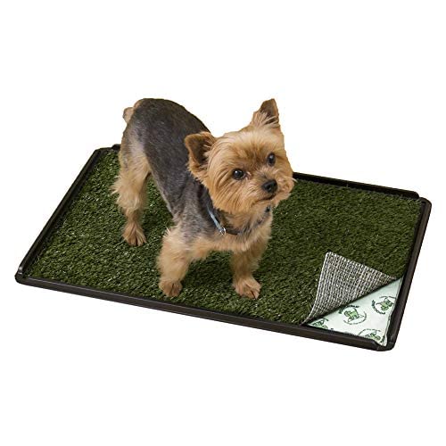 Pooch Pads Indoor Turf Dog Potty Plus, for Dogs up to 20 lbs., 24