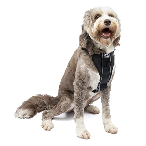 Kurgo Dog Harness | Pet Walking Harness | Extra Large | Black | No Pull Harness Front Clip Feature for Training Included | Car Seat Belt | Tru-Fit Quick Release Style