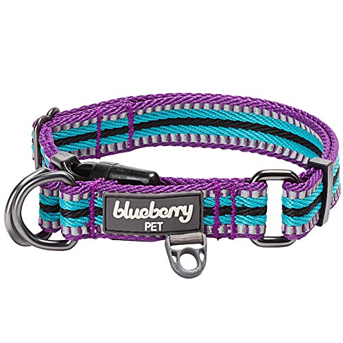 Blueberry Pet Dog Collar
