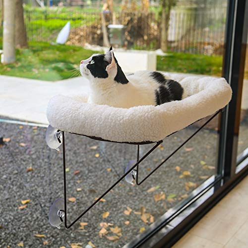 Zakkart Cat Window Perch for Indoor Cats
