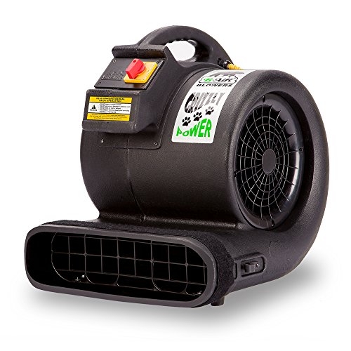 B-Air Grizzly Dryer