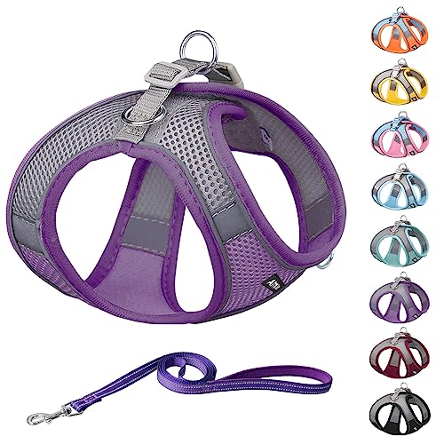 AIITLE Summer Soft Dog Harness and Leash Set - Pet Supply No Pull, Step in Adjustable Dog Harness with Padded Vest for Hot Weather, Easy to Put on Medium Dogs Purple L