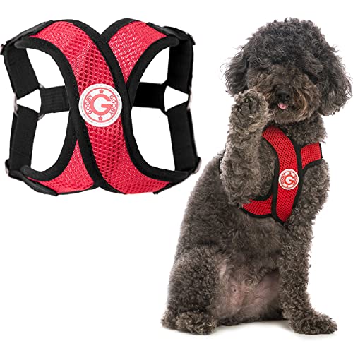 Gooby Comfort X Step in Harness - Red, Small - Comfort X Step-in Small Dog Harness Patented Choke-Free X Frame - On The Go Dog Harness for Medium Dogs No Pull or Small Dogs for Indoor and Outdoor Use