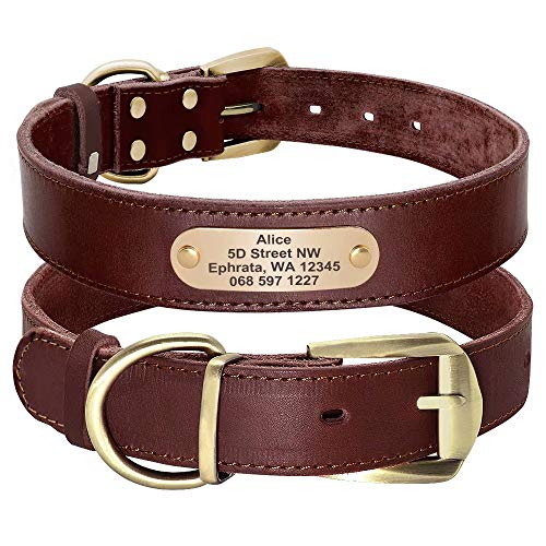 Didog Genuine Leather Dog Collar