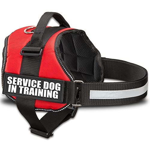 Industrial Puppy Service Dog In Training Vest