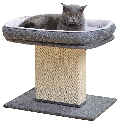 Catry Cat Bed with Scratching Post
