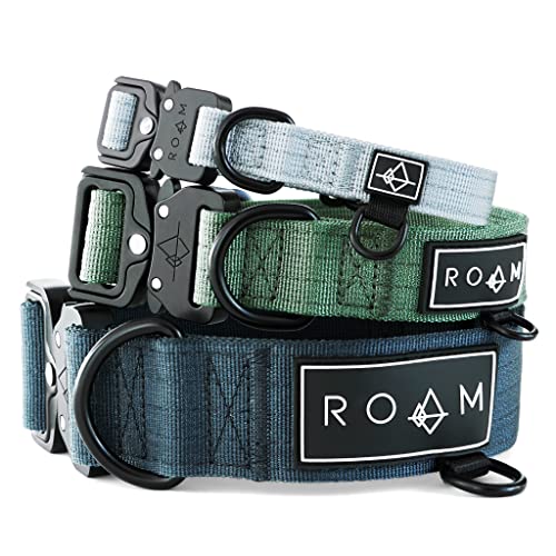 Made to ROAM Premium Dog Collar - Adjustable Heavy Duty Nylon Collar with Quick-Release Metal Buckle (Florida Seaside, Size 3)