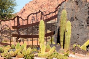 decorative panel dog fence desert cactus rock setting
