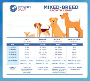 Mixed breed growth chart